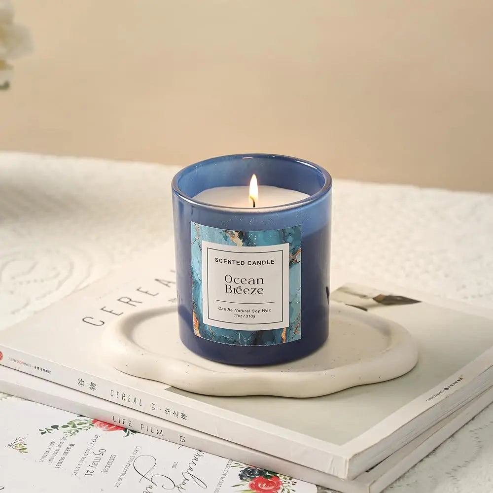Ocean Breeze Candle,Spring & Summer Scented Candle,Natural Soy Wax Candles for Home Scented,Candle Gift for Women Men,11 oz